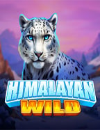เว็บ ตรง สล็อต 2021baba wild slots & casino: เกมที่ไม่ควรพลาด