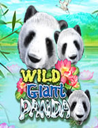 ทดลองเล่น ฝาก ครั้ง แรก 100 กับโอกาสชนะสูงสุด 500x